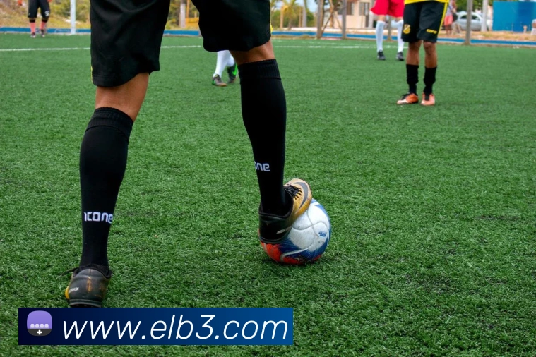 j92电子pg网页版平台生态图